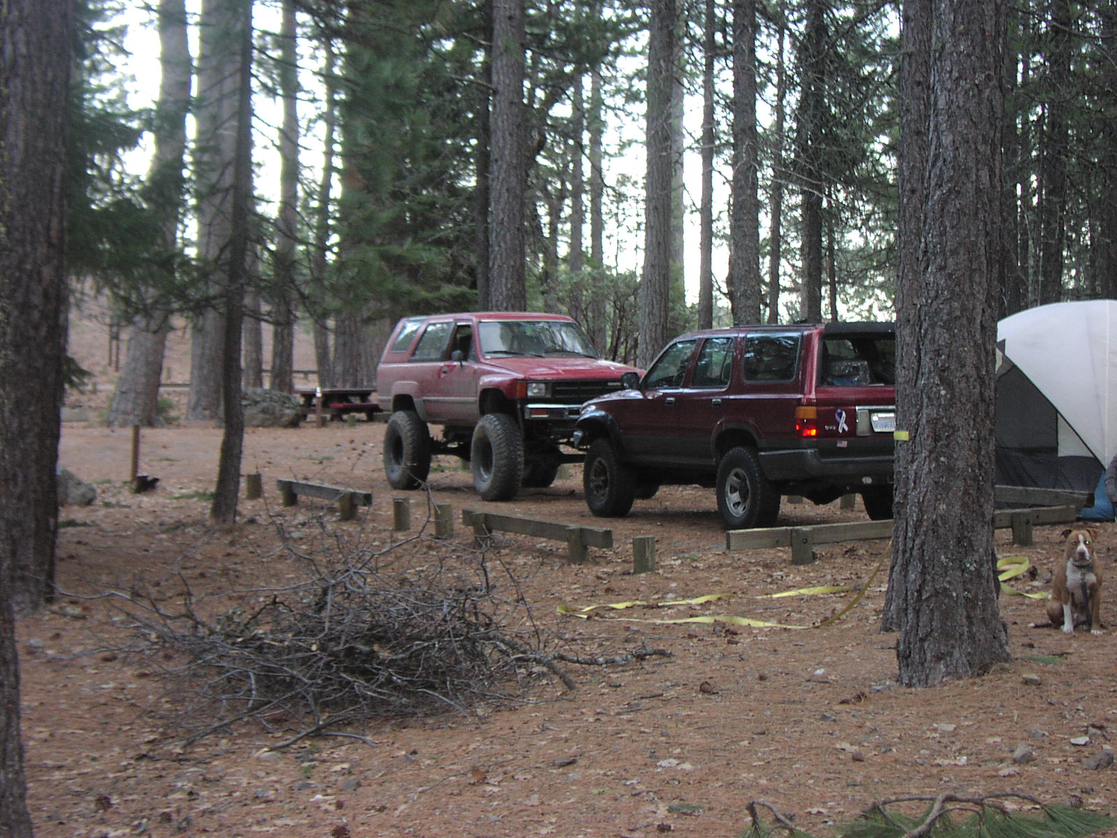 California jeep stockton #4
