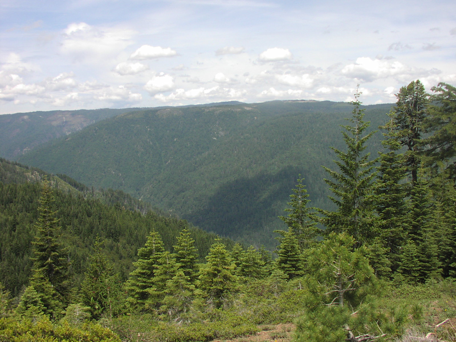 Gentry Off Road California Plumas National Forest Stag Point By