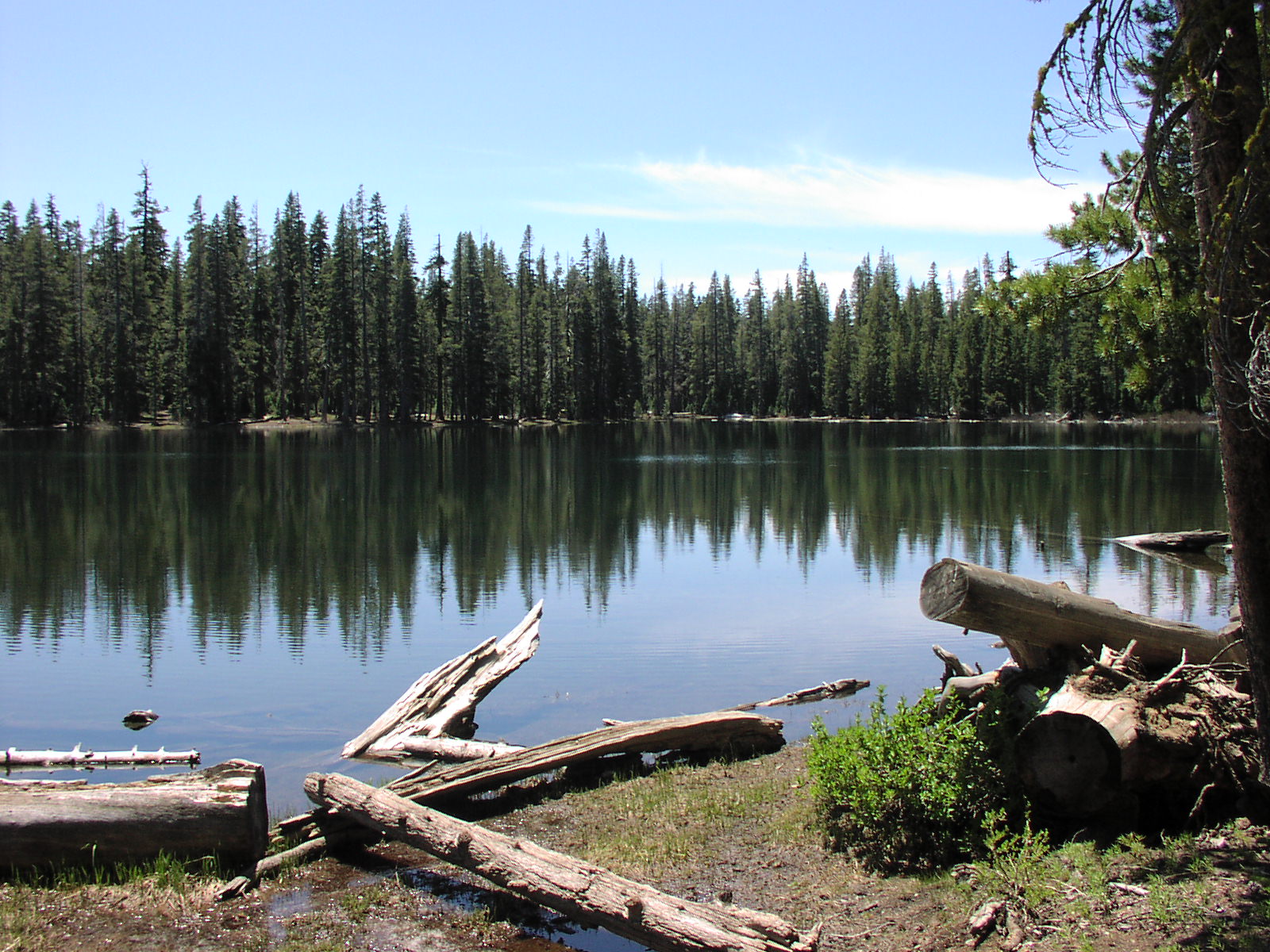 Gentry Off Road California Tahoe National Forest Lake Of The